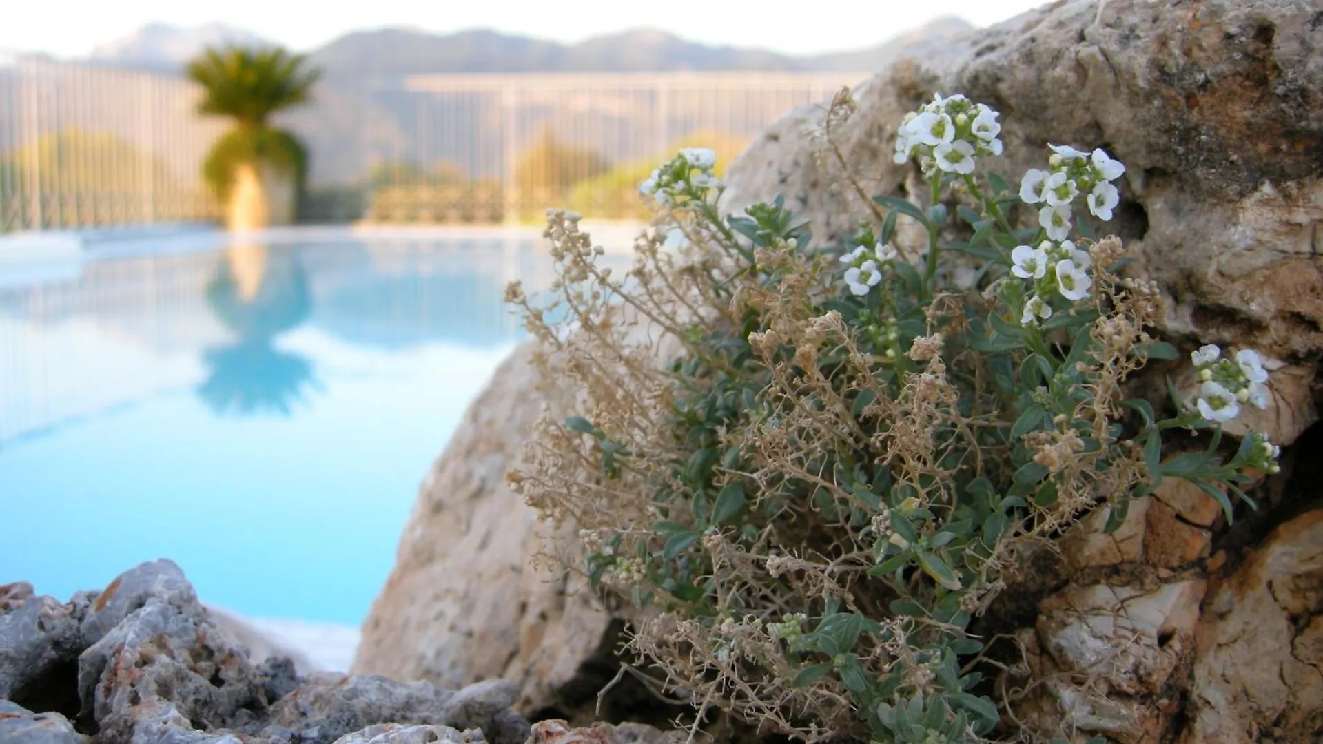 Verdeluna ApartHotel Marina di Pietrasanta
